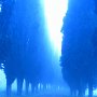 Bild: Alfred Schiener Bild: Alfred Schiener